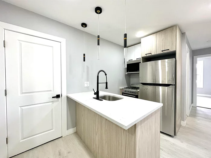 Beautiful Renovated 2 bed 2 bath apartment. Features High Ceilings, condo grade appliances, deep sink, Wall split A/C & Heat Units, WASHER AND DRYER IN UNIT, junior size living room space and more. Inquire today! Pets upon approval! We have 3 units in this building