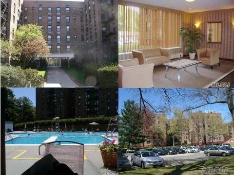 Huge Studio (Largest In Development), Freshly Painted, Low Maintenance, Lots Of Sunlight (Windows In Every Room) And Closet Space, Eat In Kitchen! Across From Lots Of Shopping. Express And Local Buses To Nyc Subways, St. Johns, Queensboro College, Alley Pond Park And More. Free Parking Sticker! In Ground Pool! Fantastic Location.