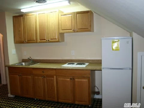 Newly Remodeled Very Spacious 1 Bedroom Apartment W/ Convenient Parking Near Hicksville Train Station. New Kitchenette With New Appliances, New Carpet, New Paint, New Windows. Really Nice, And Really Big! Kitchen Has Stove But No Oven. Apt Over Clothing Store, Walk Up Stairs, (No Elevator). Electric Heat, Electric On Seperate Meter.