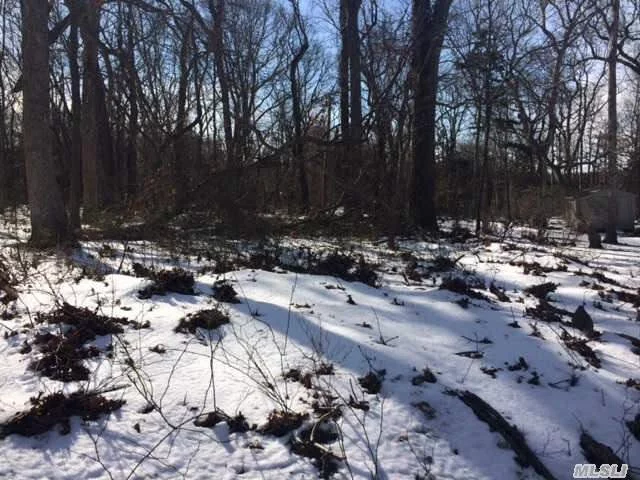 Beautiful Area To Build On This 1/2 Acre Lot. Creek Access Just Down The Street!