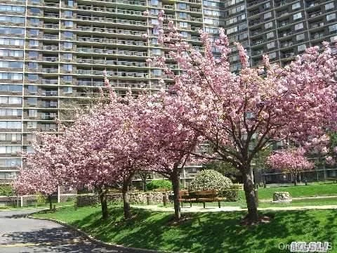 Beautifully Renovated Kitchen And Bath. High Floor, Terrace W/ View.