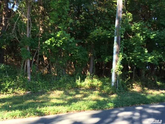 Flat, Buidable Lot Located In Beautiful Residential Neighborhood. Within Walking Distance To Peconic Bay. Convenient To Vineyards, Shopping And All The North Fork Has To Offer. Build Dream Home Or Hold For Future Investment.
