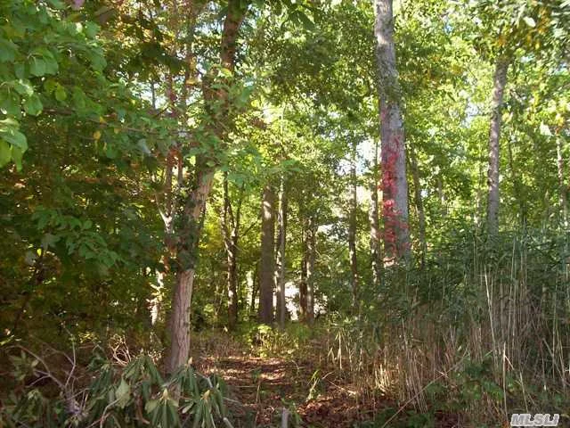 Wooded Level Lot With Waterviews. Access From 2 Sides. Steps To Boat/Kayak Launch.