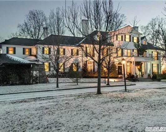 Spectacular Turn Of The Century Colonial Estate By Little & Browne. Multi Million Dollars In Renovations, Boasting High Ceilings W/Custom Moldings, Five Fireplaces, Ballroom, Gourmet Chefs Kitchen & Home Theater. Shy Of 5 AcresA Masterpiece Listing Jericho Sd.A Gem!