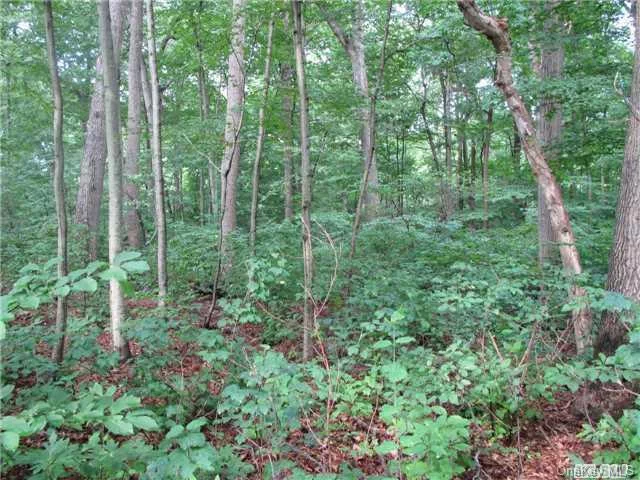 Level 3.14 Acre Parcel Located In The Scenic Village Of Nissequogue. Property Has Beautiful Old Oak Trees, Large Beech And Black Birch, With Understory Of Dogwood Trees, All Attractive To Many Beautiful Birds And Butterflies. Bring Your Plans To Build Your Dream Home.