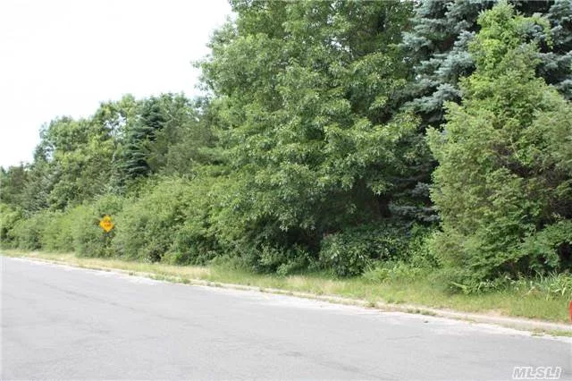 Level, Wooded Shy Acre In Mattituck-Cutchogue School Distrct. Mid Block Location. Perfect For Building Your Dream Home. Utilities At Street, But Not Brought Onto Property. Adjacent Property W/House Also Available - This Is An Extremely Rare Opportunity To Secure Two Adjacent Lots - Dont Let It Get Away!!