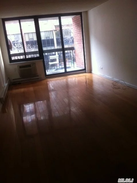 Large One Br Apt With Balcony, Facing South, Excellent Condition, Shinning Hardwood Floors, Lots Of Closet.