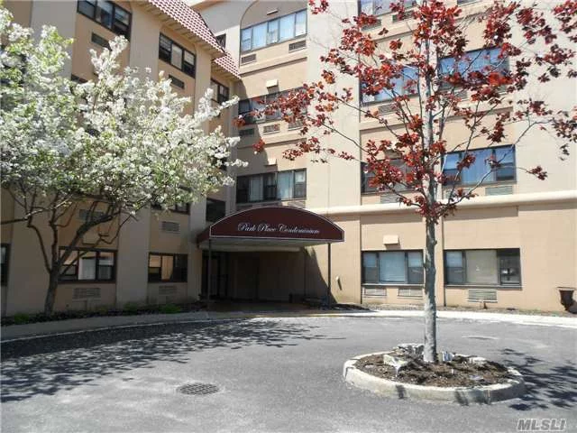 Great One Bedroom, One Bath Unit In Desirable Park Place Condo. 24/7 Security, Pool, Gym And Washer/Dryer In The Unit. Very Large Utility Closet. Close To Lirr, Shops, Restaurants And The Beach. Best Parking Spot In The Building.. Must See.. Make This Your First Summer In Long Beach.