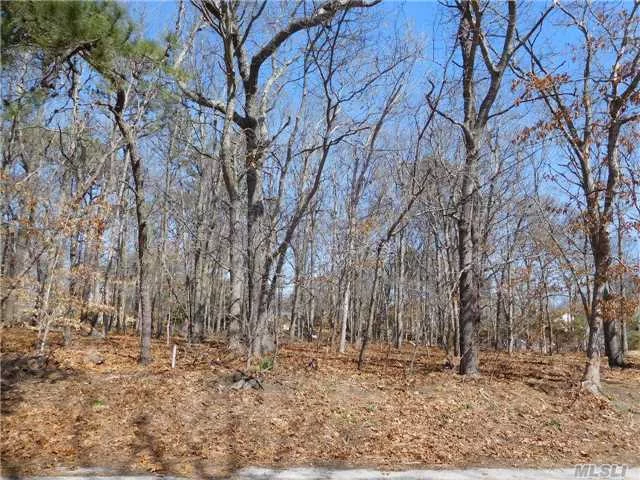 Charming Hamlet In Southold Town. Build Your Dream House On This Wooded Level Lot. Near Beach And Boating.