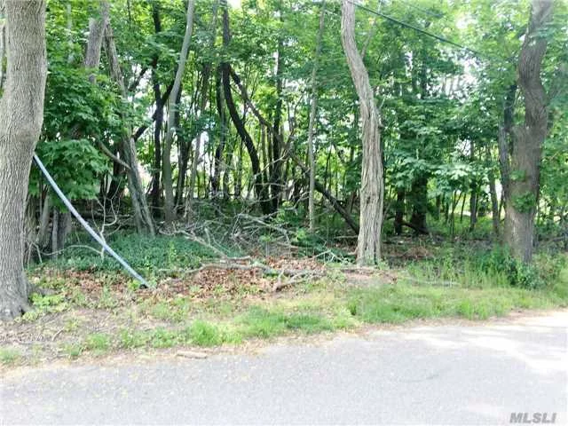 Corner 1/2 Acre Wooded Lot With Public Water In The Street. Located Close To Town, Wineries, Beaches And More.