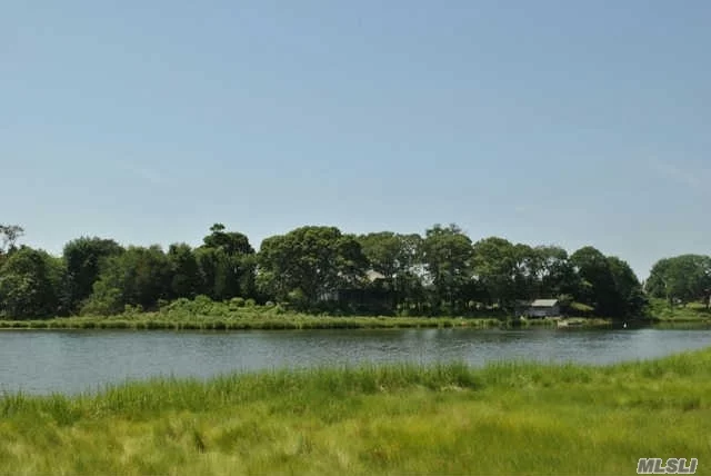 Peconic Creekfront Shy Acre. Nicely Treed Property With Pristine Waterfront Views. Perfect Location For Your Waterfront Dream Home. Trustees Permit Obtained & Awaiting Dec Permit.