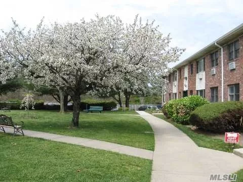 Updated Large Deluxe One Bedroom Coop Unit, Close To All Major Transportation, Walk To Lirr And Main Street Shops, Pool, Gym, Club House, Park Like Setting, Pet Friendly Complex, A One Of Kind Beauty, Come See For Your Self Today!