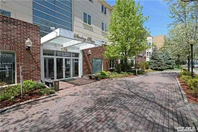 Luxurious Condo In New Building With Doorman. Close To Town, Shops And Lirr. Indoor Parking, Gym In Building. The Apartment Is Filled With Light, Washer Dryer In Unit, Hardwood Floors. Kitchen And Baths Designer Finishes.