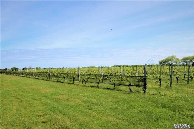 Ideal North Fork Location To Build Your Dream Home. Private Estate Setting On 3 Beautiful Acres With Views Of Vines. Grown Specimen Trees Throughout The Property, & Plenty Of Space For Tennis Courts & Pool.  Close To All The North Fork Offers.