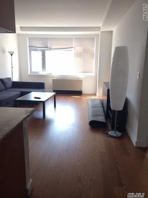 Skyview Luxury One Bedroom Condo In Heart Of Flushing, Bright, Facing To Garden, 24Hrs Doorman, Tennis, Basketball Court, Bbq, Spa, Children Playground, Rooftop Garden, Convenient To #7 Train/Lirr/All.