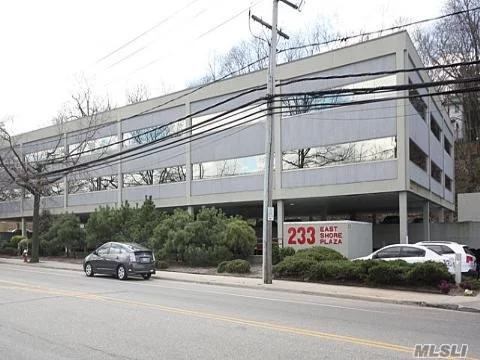 Looking For The Perfect Environment To Grow Your Business In One Of Long Islands Most Prestigious Neighborhood? Centrally Located Between Great Neck, Lake Success, & Manhasset. Just Minutes Away From Major Highways, Lirr Stations, North Shore Lij, Etc. Potential To Purchase The Adjacent Unit For A Consolidated Office Space Of -2700 Sqft!