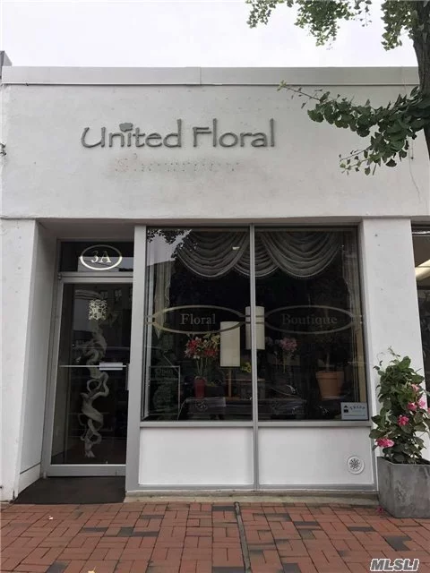 Approximately 800 Sf Available For Lease In The Heart Of Downtown Great Neck .Was Used As A Flower Shop. High Ceilings Next To Lirr Station. Fully Renovated, With Full Basement. Recently Renovated,  Great Demographics With Lots Of Foot And Car Traffic. Ideal For Any Retail Business.Flyer Is Attached