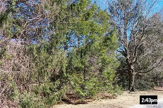 Build Your Dream Home On This Wonderful Flat Property! This Prime Acreage Is Convenient To The Quaint Village Of Locust Valley, Schools And Transportation. Property Is Staked And Partially Cleared. Backs Up To Coffin Woods. Taxes Are Being Grieved.