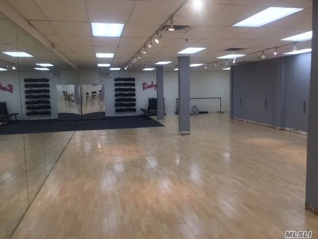 Lower Level: Perfect For A Dance Studio, Fitness Gym, Wellness Center, Move In Condition