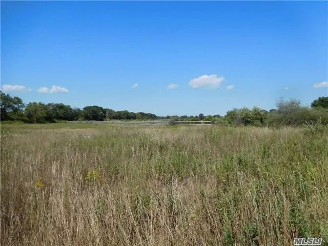 Agricultural Level And Cleared Land Includes A 2 Acre Building Lot. Would Make A Great Horse Farm, Tree Farm, Plants, Greenhouses, Etc. Water, Electric On South Street. Easy Commute To The Hamptons.