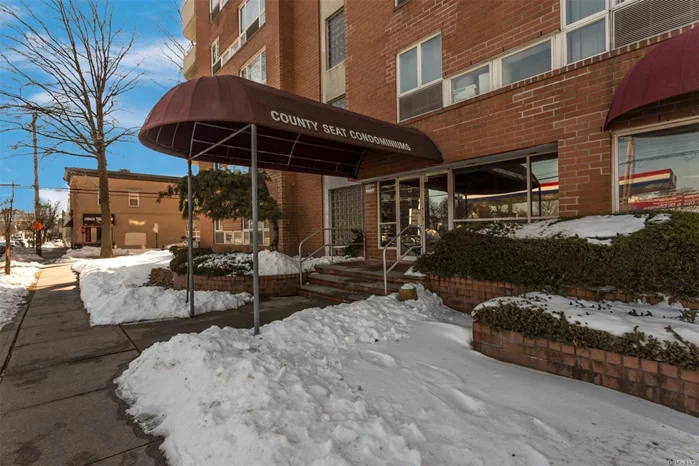 Beautifully Updated 1 Bedroom Condo With Washer/Dryer In Unit. Updated Open Kitchen With Granite And Stainless Steel. Baths Redone, Pet Friendly Building And Parking Spot In Garage.