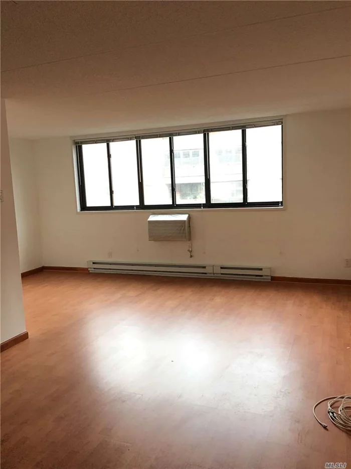 Maintain Very Well Co-Op Building, Beautiful L Shape Large Size Studio, Lots Of Closet, Upgraded Kitchen & Bath, Shinny Wood Floor.