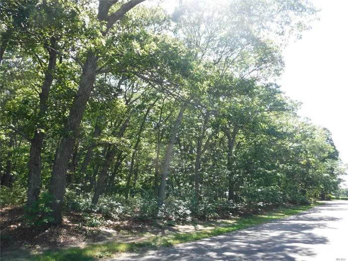 Southold, North Fork Building Lot - Goose Creek At End Of Street... Luxurious Shy Acre Wooded Lot For Your Dream Home... Adjacent Lot Also For Sale... Inquire.