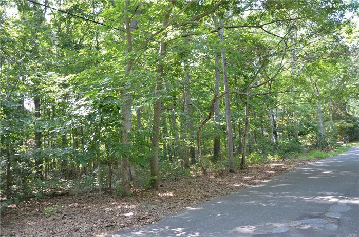 Wooded Level Lot Within 4/10 Of Mile Of Mccabes Beach.