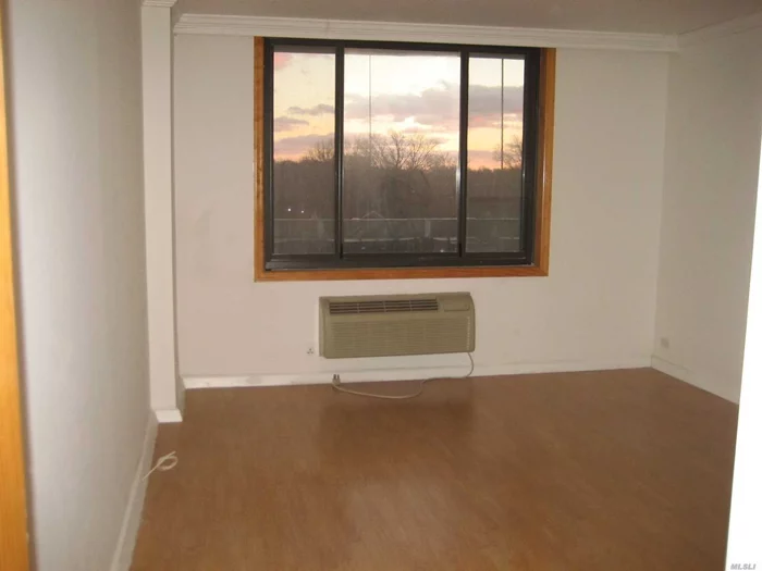 Beautiful Apt With Large Balcony, Doorman, Pool, And Gym, Convenient To St Johns University.