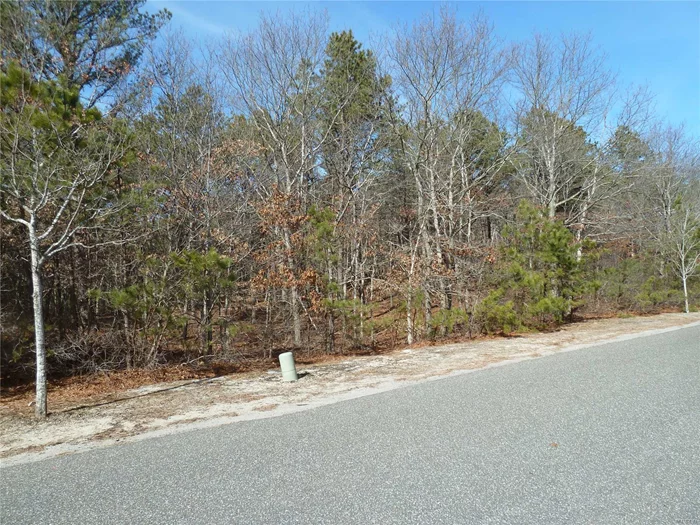 Great Property To Build A Wonderful Home In The Prestigious Southampton Pines Area. This Treed And Rolling Landscaped Property Of 1.67 Acres Is In The East Quogue School District. Come Take A Look At Your Next Dream Home To Be Built.