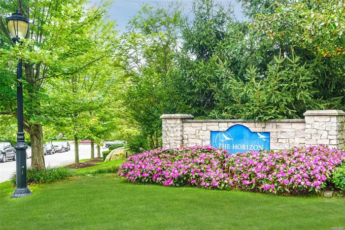 Roslyn. The Horizon at Roslyn is a luxury 55+ Community offers this 2 Bedroom, 2 Bath Unit with a Washer and Dryer, Garage Parking, Fitness Room, Outdoor Pool and a 24-Hour Doorman Virtual Tour: https://www.tourfactory.com/2073586