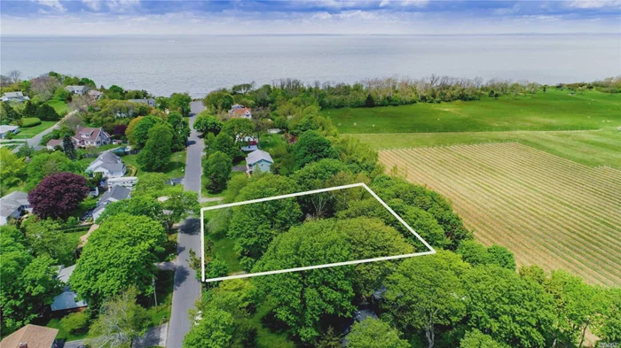 Beautiful LI Sound beach at the end of the road, vineyards in the back yard and short walk to the center of Greenport! What better spot to build your summer cottage. Older cottage and garage on the property that must be torn down.