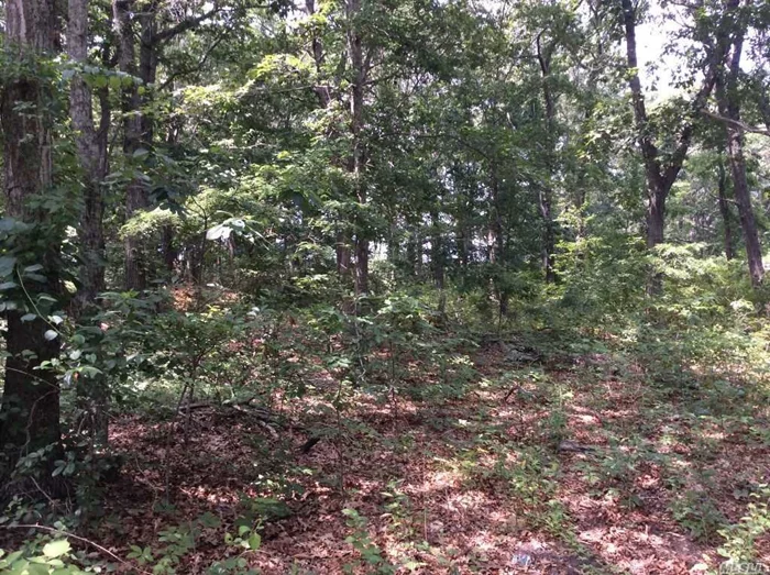 Build your dream house on this private, shy 2 acre flag lot that backs up to Laurel Links golf course. Short distance to Yacht Club & Veterans Beach. Come enjoy all the North Fork has to offer all year or seasonally.