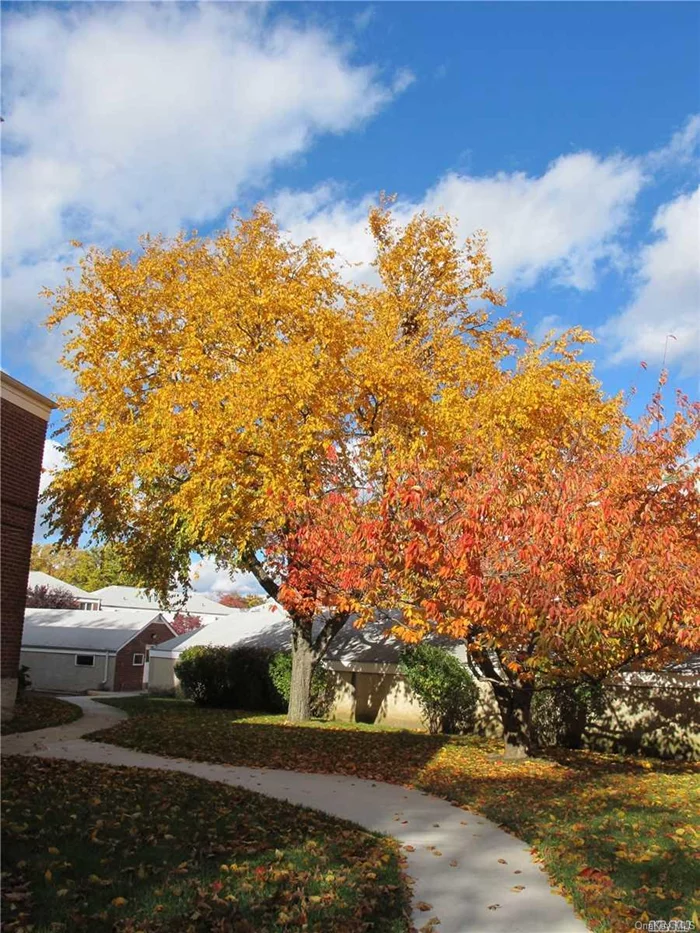 BRIGHT AND BEAUTIFUL, ABOUT 2000 SF OF LIVING SPACE PLUS HUGE DECK AND TERRACE, 4 BEDROOMS, 2.5 BATH. DISTANCE TO PUBLIC TRANSPORTATION, Q13 TO LIRR, Q16 & 28 TO FLUSHING. QME & 32 TO MANHATTAN.