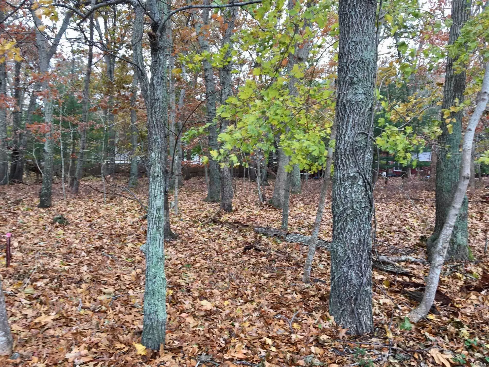 Level Wooded Lot Next To South Harbor Park Community With It&rsquo;s Beautiful Sandy Bay Beach. Great Location On A Quiet Road. The Perfect Place To Build Your Vacation Or Year Round Home.