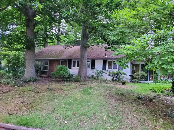 Sprawling Ranch In Dsoris Woods, Needs TLC, Make It Your Own ! No Heat, No Water.