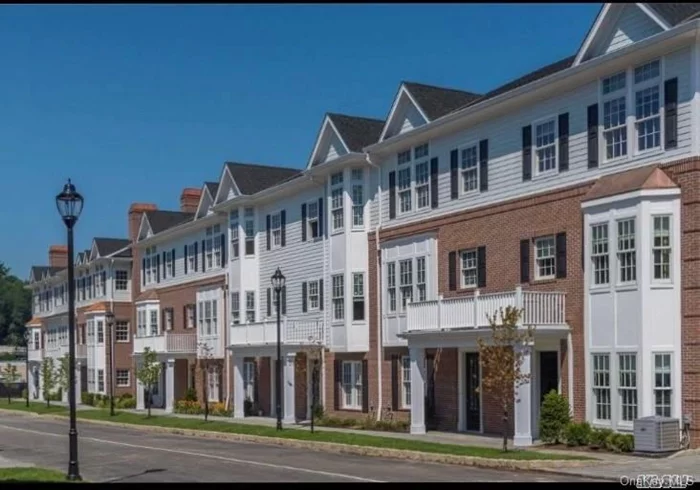 Luxury New Townhouse in the heart of Roslyn. Magnificent 3 bedroom 3 Bath condo featuring top of the line kitchen and baths. An amazing opportunity for luxurious maintenance free living.