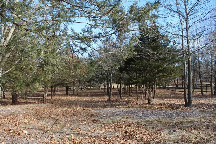 Aquebogue Residential Lot in Farm Country (Horses Permitted) Partially cleared. Farm Views Build Your Dream Home Here! Close to Beaches!