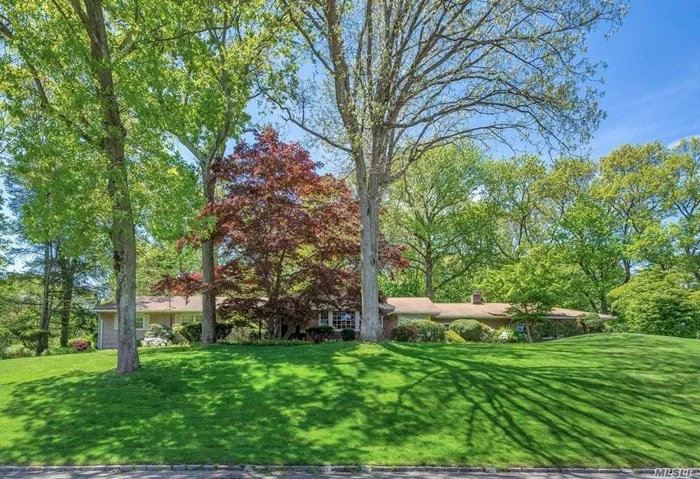 Sprawling Ranch on over 1 acre. This house has 5 bedrooms on one level, including the master bedroom with ensuite bathroom. This house boasts 3 full bathrooms. Full formal living room with Fireplace. Formal Dining room off the kitchen and an oversized family room with wood burning fireplace. The house is situated mid block with beautiful grounds and many specimen trees and bushes.