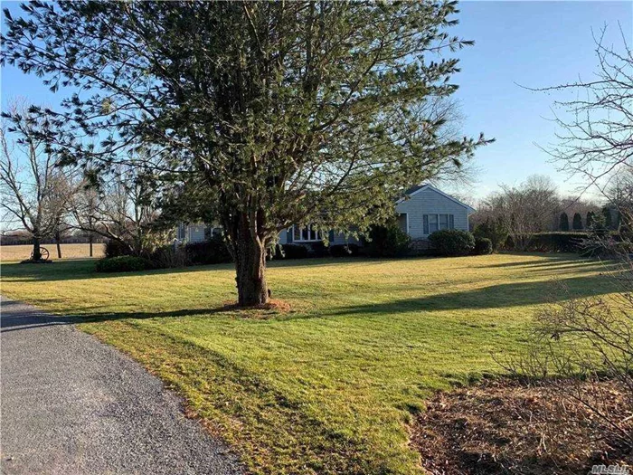 Calling all Farmers! This is what You have been Waiting for!  Well-appointed 3BR, 1.5BA Ranch Home w/Open Kitchen/Den Area, Formal Living Room, Partially Finished Basement, 1 Car Attached Garage, In-ground Pool. The Gently Rolling 20+ DRS Land has Deer Fencing on the South and West Boundaries. Sit on Your Pool Patio and Enjoy the Bucolic Farm View. Gorgeous Sunrises and Sunsets. This Won&rsquo;t Last Long!