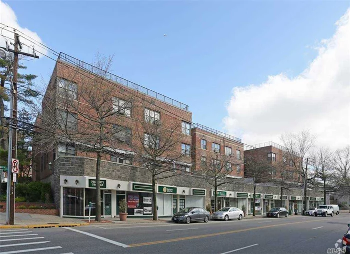 Commercial coop unit in the Heart Of Great Neck, Prime Location, Proximity To Lirr, Surrounded By Residential Areas & Commercial Buildings.Low Maintenance including the water, heat. Only extra expense will be the electric