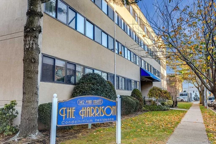 Manhattan Living In Mineola .One Bedroom Unit Condo With An Open Layout & Beautiful Hardwood Floors.  Great Location, Close To LIRR, Hospital, & Shopping Galore.   Easy Commute To NYC.