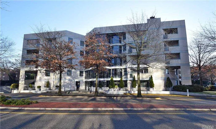 One of the most luxury condo located in heart of Great Neck. 5 Stories high ceiling lobby, 24 Hours Concierge. 2 bedrooms and 2 full bathroom. Bright and spacious living room , Sliding door to balcony. Large windows bring all natural light to the rooms. Master bedrm with Jacuzzi, steam shower, walk-in closet. Washer & Dryer inside unit. 2 car indoor parking space included. GYM in the building. Access to Great Neck park district Pool, ice Skating, Tennis court, Parks. Great Neck South/ North school. 2 Blocks to LIRR, Bus station, close to shopping center, restaurants.