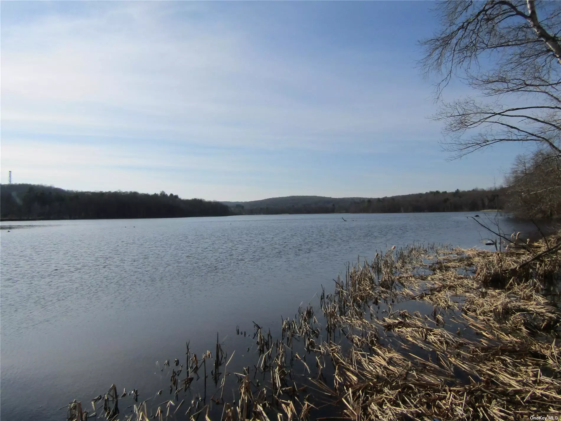 This 82 Acre lake front property features amazing views, woods, fields, streams, and a pond. Also included is a 1 acre lot with a mobile home. A perfect place to enjoy a quite life or getaway, just teeming with fish and wildlife