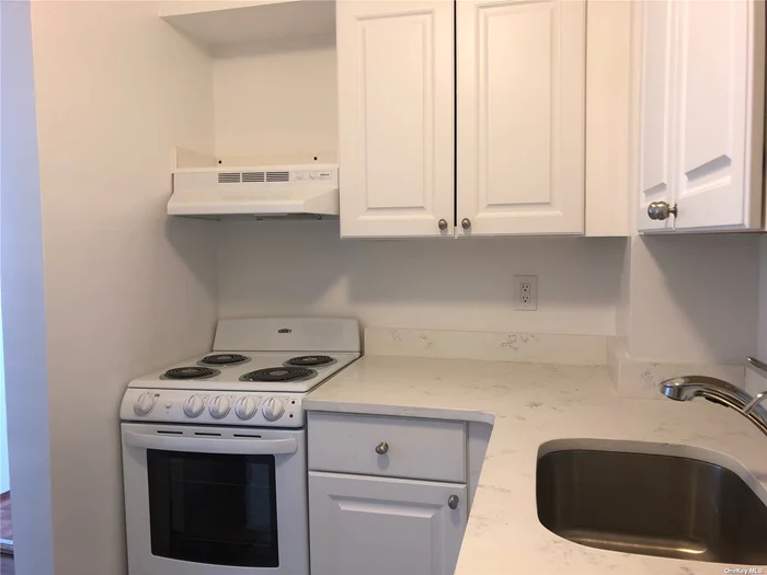 Bright and Unique 1 bedroom apartment with renovated kitchen, quartz counters, lovely cabinets, large living room and large dining room, laundry, very near LIRR, town shopping, restaurants and town dock. Ground care included.