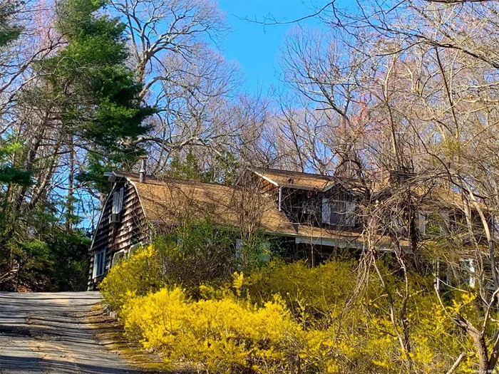 2.65 Acres of Wooded Seclusion in Oyster Bay. Private Cove Neighborhood Beach and Mooring for Boat. This home is sold AS IS. Large colonial home with oversize rooms and IG Pool. This home could be your North Shore Beauty. Make lasting memories with wooded acreage, quiet roads, small neighborhood town and a private beach overlooking Long Island Sound.