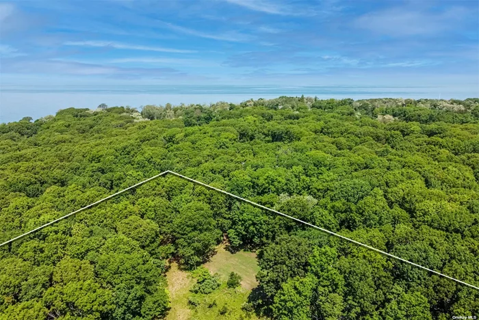 Rarely does buildable land of this size and privacy become available on the North Fork. Adjacent to preserved farmland, this 5.5 acre parcel, in an area of 2 acre zoning, awaits your dream home. Moments from Long Island Sound at McCabe&rsquo;s beach and Horton Lighthouse, the large plot is secluded yet convenient to Southold, Greenport and the North Fork&rsquo;s famed vineyards, farms and restaurants. Wooded, partially cleared.