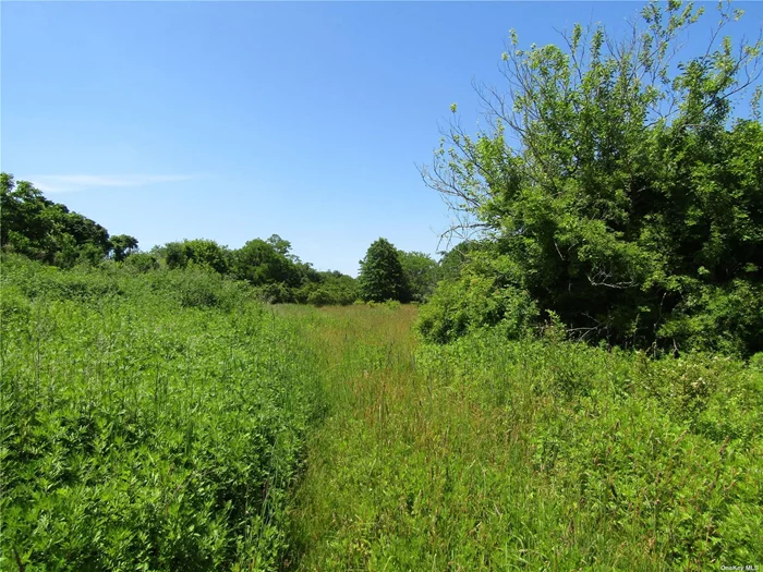 This 9.3 acre property offers approximately 2500 feet of road frontage, multiple restorable structures and the perfect mix of woods and fields.