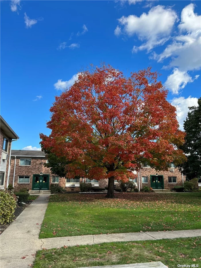 Large one bedroom upper unit. Living room, dining area, kitchen and full bathroom. Heat included in Rent. Community offers an Inn-Ground pool, gym, and shared laundry.