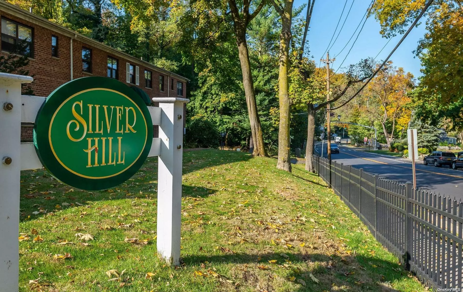 Pristine One Bedroom Co-Op Located In Silver Hill. Lovely Recently Remodeled Kitchen & Bath, Hardwood Floors, Spacious Bedroom, Ample Closet Space. Laundry In Building, Walkout Basement To Parking Area. Walk To Railroad & Roslyn Village.